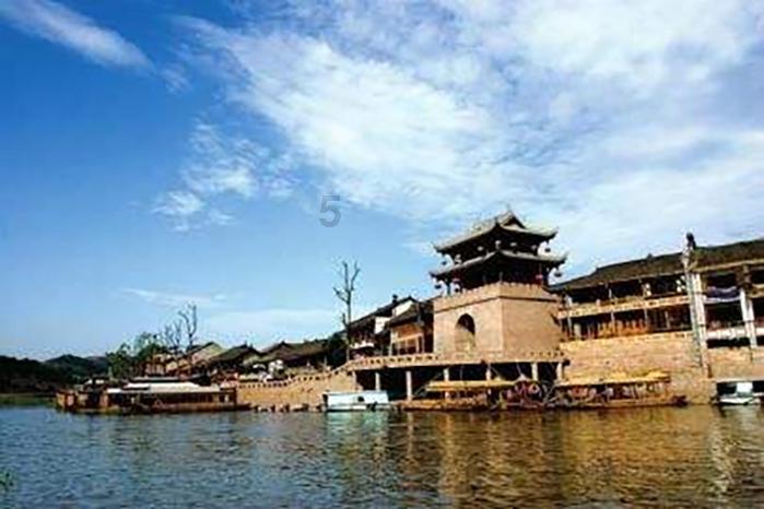 五彩鹦鹉救援